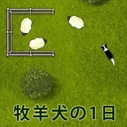 牧羊犬の1日